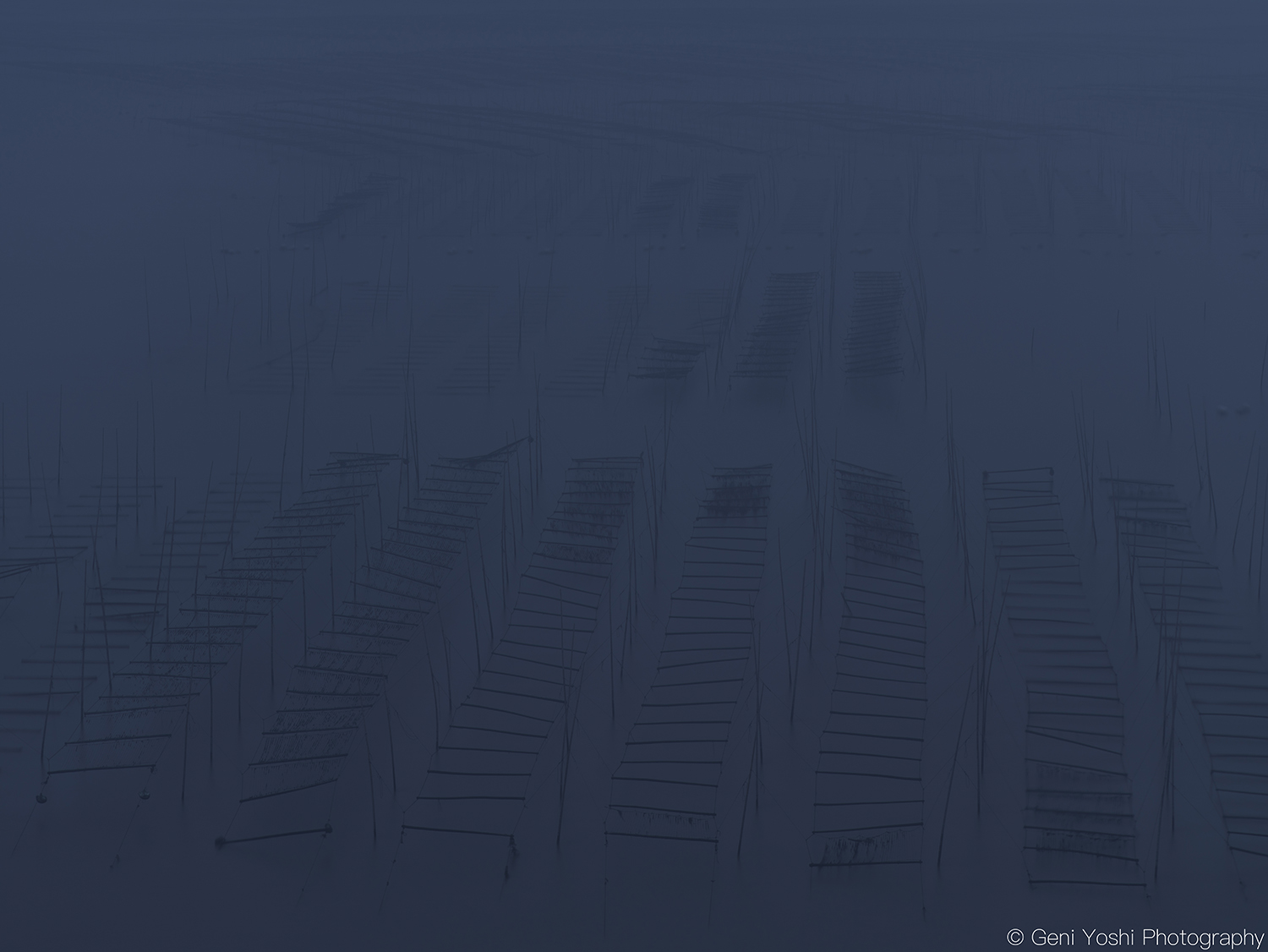 タイトル写真-1