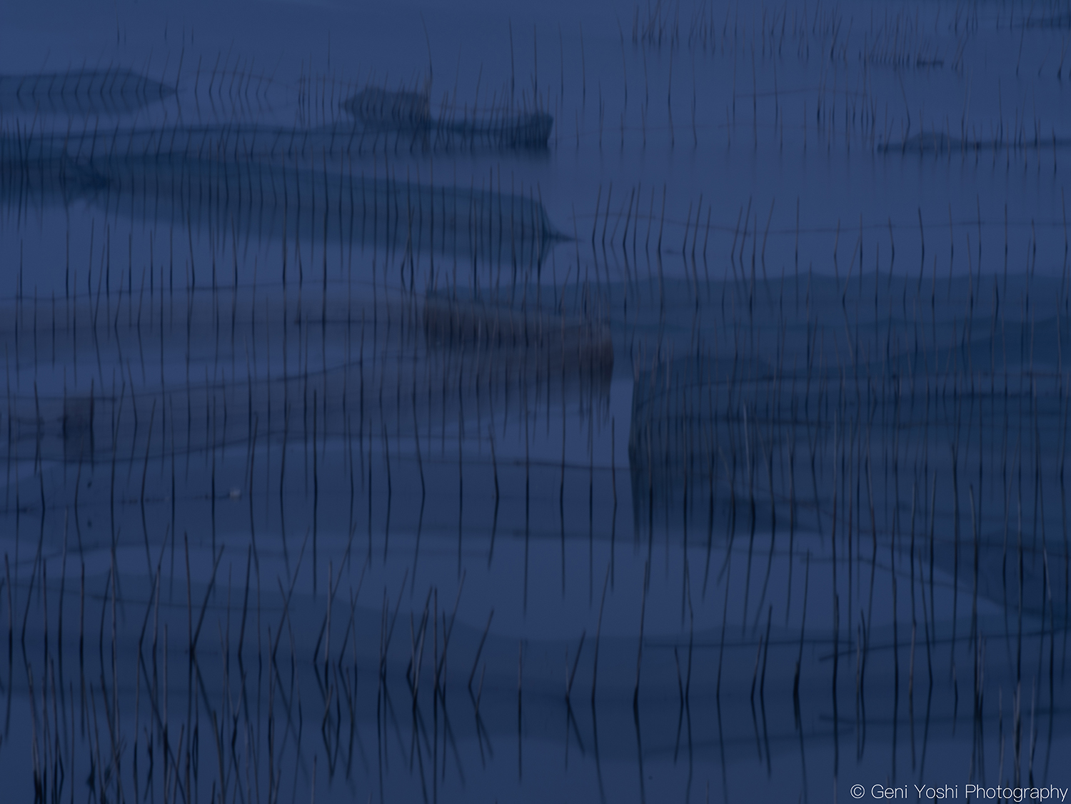 タイトル写真-1